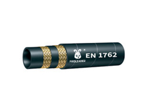EN 1762 2 Layer Wire Braided LPG & CNG Hose