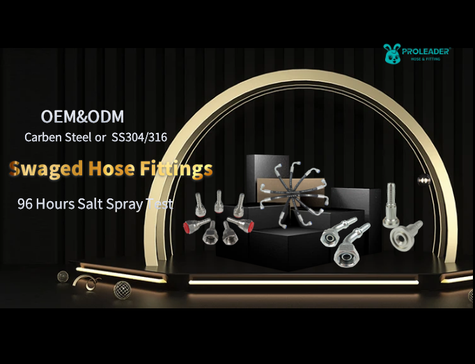 All kinds of Swaged Hose Fitting!