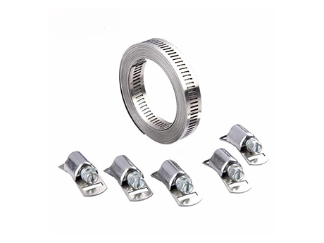 Widthband Stainless Steel Hose Clamp