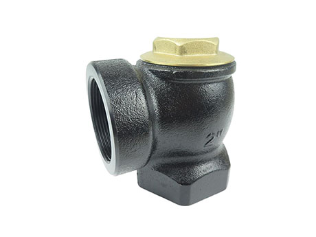 Angle Check Valve